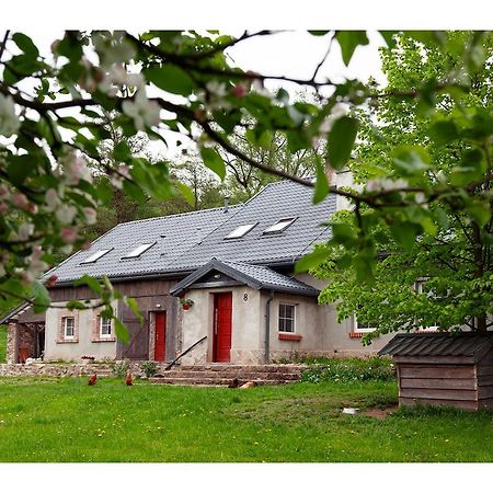Kozy I Roze Villa Oldrzychowice Klodzkie Eksteriør billede