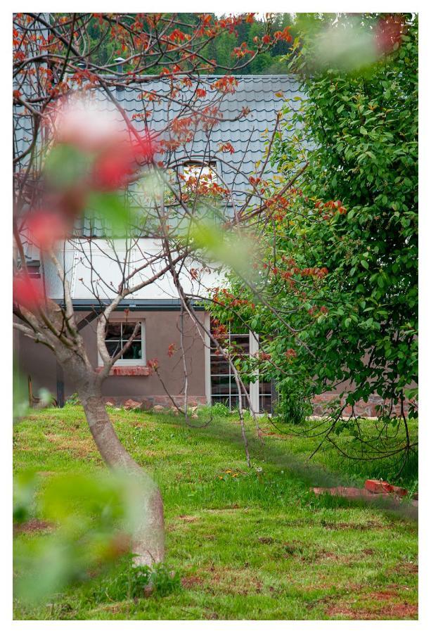 Kozy I Roze Villa Oldrzychowice Klodzkie Eksteriør billede