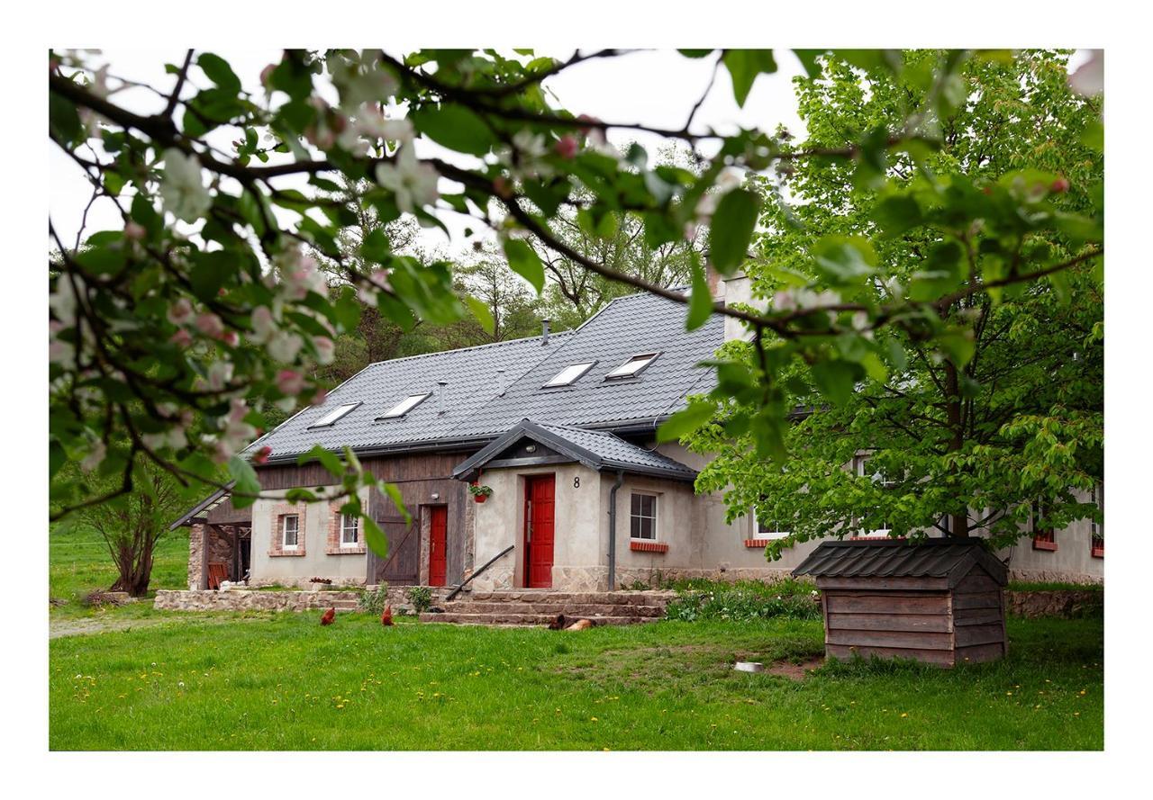 Kozy I Roze Villa Oldrzychowice Klodzkie Eksteriør billede